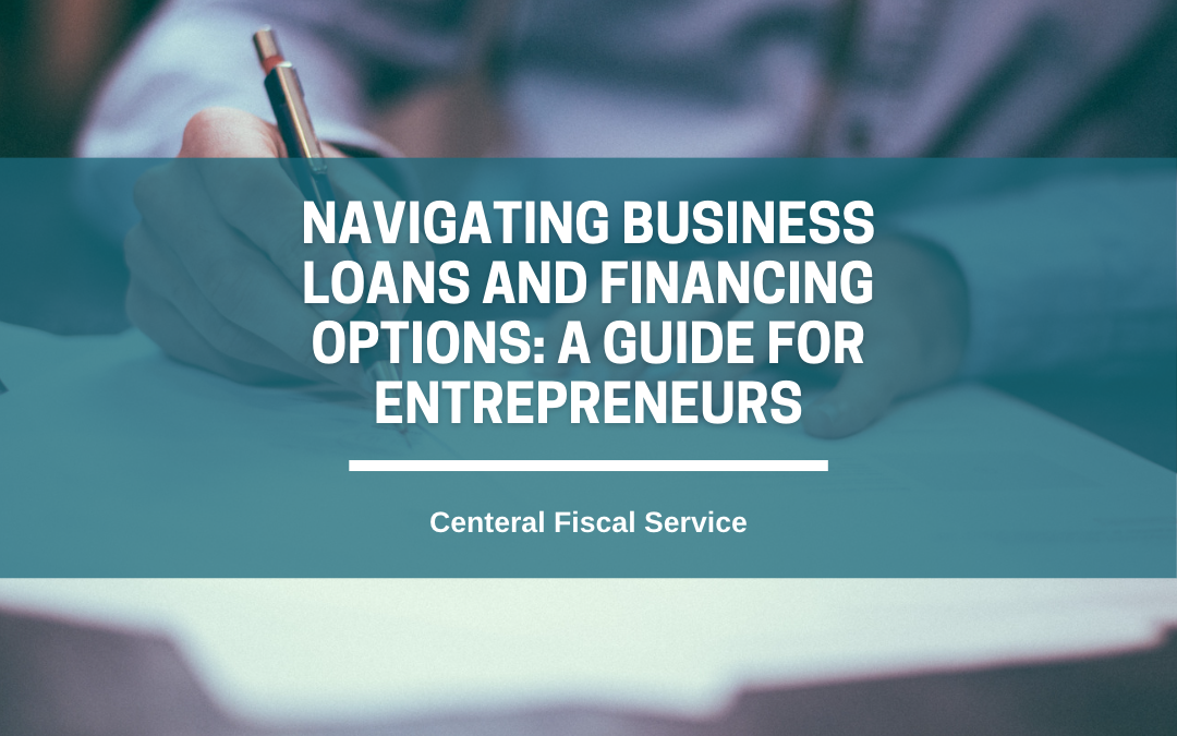Navigating Business Loans and Financing Options: A Guide for Entrepreneurs